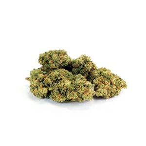 Cannabis CBD Harlequin