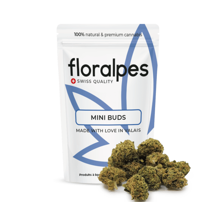 Cannabis CBD Mini Buds